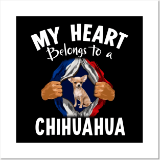 My Heart Belongs To A Chihuahua Posters and Art